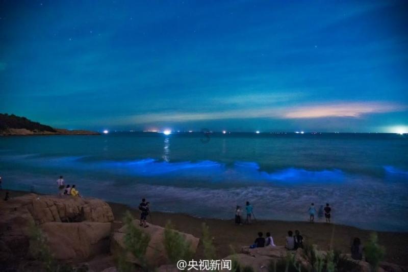 2000元左右性价比最高的5G手机是什么？游戏画面